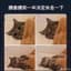 狐狸的利息