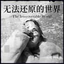 无法还原的世界